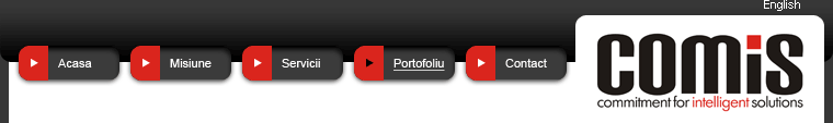 Comis - commitment for intelligent solutions